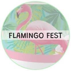 Flamingo Fest
