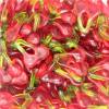 Haribo-Happy-Cherries-Kirsebaer-2.jpg